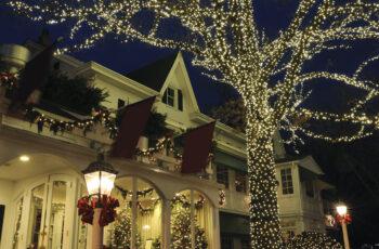 Avoid the Holiday Lighting Disaster: Let the Pros Handle It