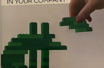 The Silent Killer of Business Value: The Key Person Dependency